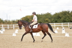 SBM_009939