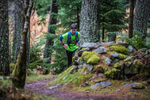 Glentress-2261