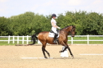 SBM_001978