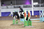 SBM_003803
