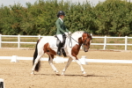 SBM_001987