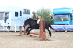 SBM_12227