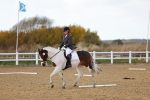 SBM_002647