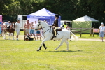 SBM_15629