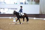 SBM_001141