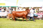 SBM_08369