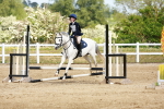 SBM_007905