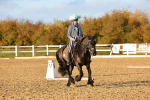 SBM_003278