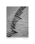 Fence at Carramore Beach 1