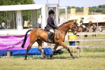 SBM_17974