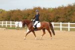 SBM_010508