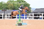 BPP_6162
