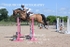BPP_1085