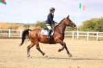 SBM_008362
