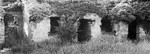 1256 - Windows  Doors
