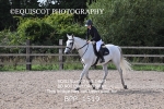BPP_1519