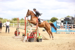 SBM_007862