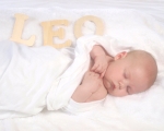 Leo 45