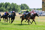 150726-Race 4-The Good Biscuit-3373