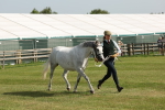 SBM_00749