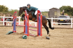 SBM_024366
