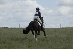 BVHT 140517  NXC -244