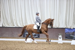 SBM_019620