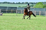 SBM_08018