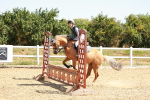 SBM_002182