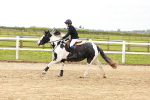 SBM_004257