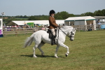 SBM_09194