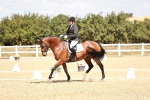 SBM_018146