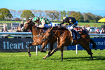 230426-Race 8-Barbury Boy-5965