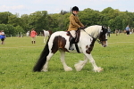 SIAL3245