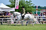 SBM_17482