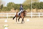 SBM_017317