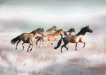 A20  Winter Canter  (A4)