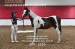 BPP_1610