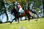 Section L BE90 Rider 551 to 569 portfolio