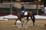 BPP_1795