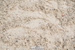 250613A-081710-00921