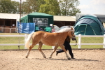 SBM_04566