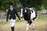 WJ6_8016