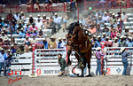 3HRodeo_CFD_JUL_18_2026_04035
