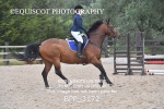 BPP_3172
