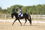 SBM_003375