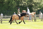 SBM_07037