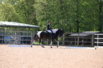 WJ6_8325