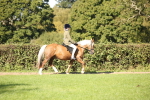 SBM_38945
