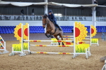 SBM_001761